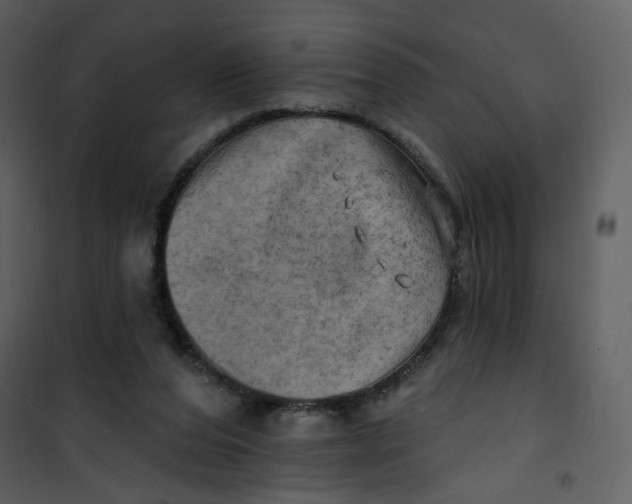 X0000100780208200807171451