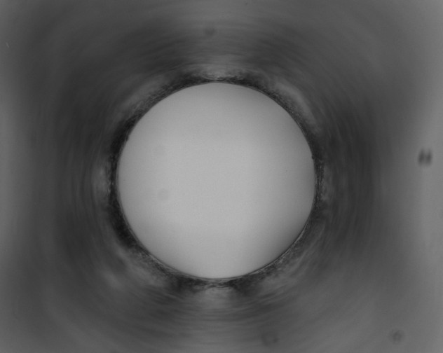 X0000100780210200807171451