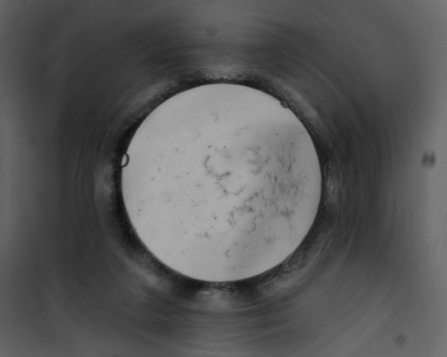 X0000100780211200807171451