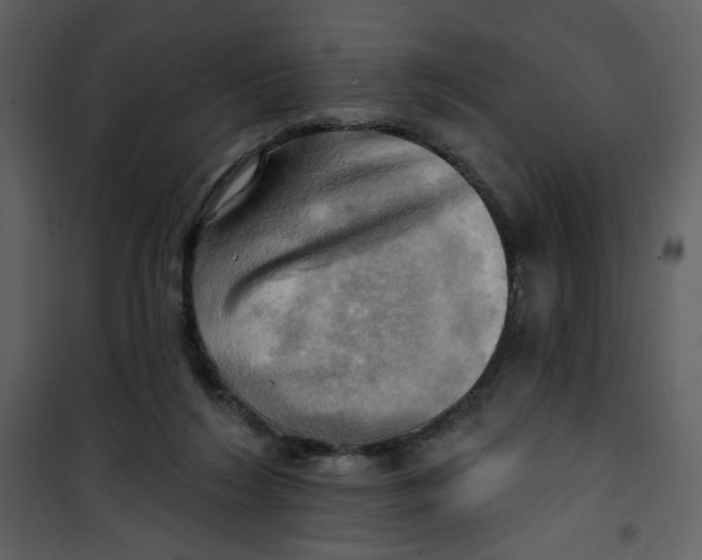 X0000100780212200807171451