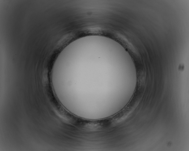 X0000100780213200807171451
