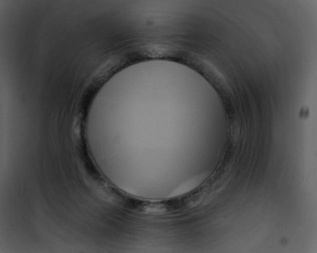 X0000100780214200807171451