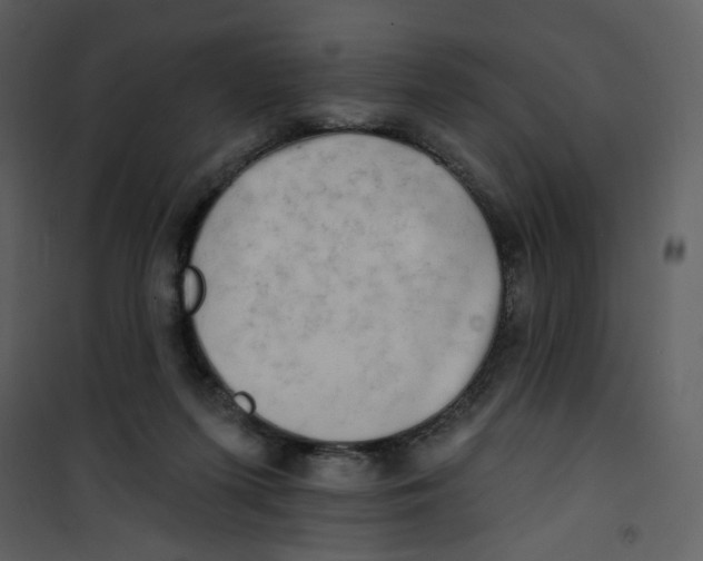 X0000100780215200807171451