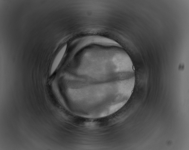 X0000100780216200807171451