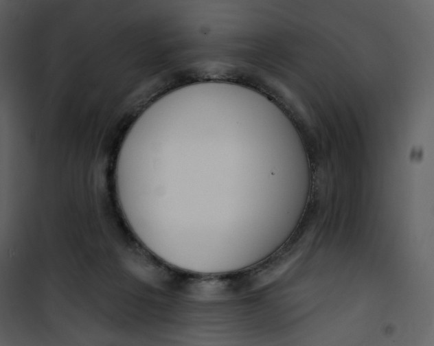 X0000100780217200807171451