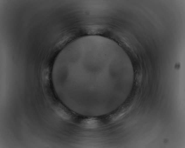 X0000100780219200807171451