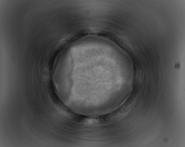 X0000100780220200807171451