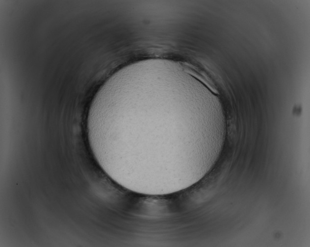 X0000100780221200807171451