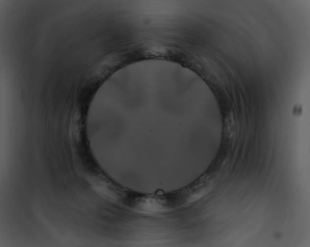 X0000100780223200807171451