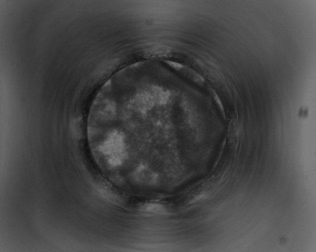 X0000100780224200807171451