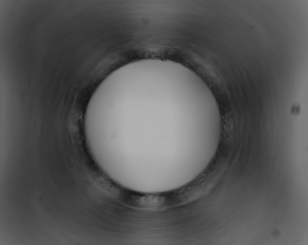 X0000100780225200807171451