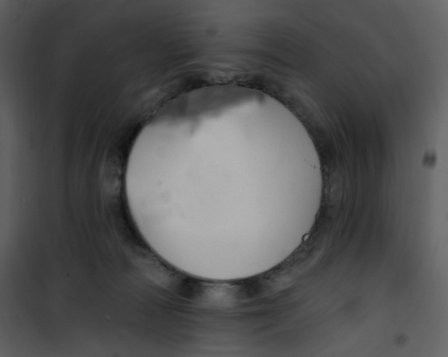 X0000100780226200807171450