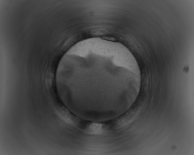 X0000100780227200807171450
