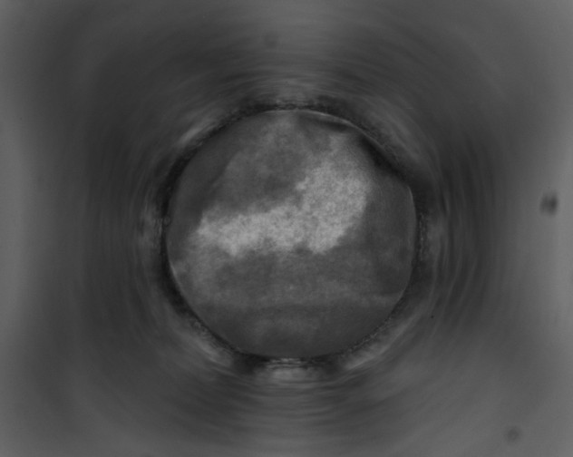 X0000100780228200807171450