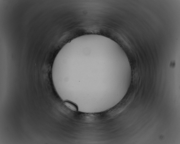 X0000100780229200807171450
