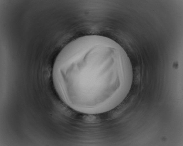X0000100780230200807171450