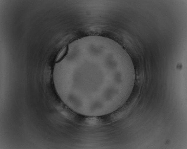 X0000100780231200807171450