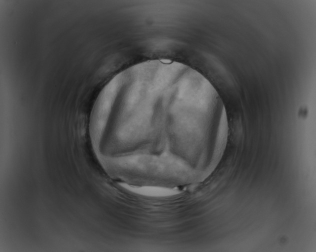X0000100780232200807171450