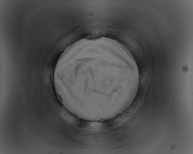 X0000100780233200807171450