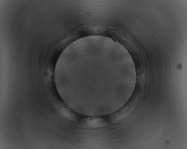X0000100780235200807171450