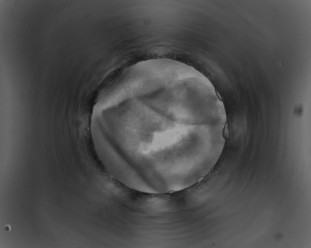 X0000100780236200807171450