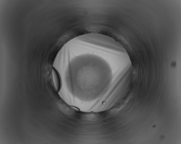 X0000100780237200807171450