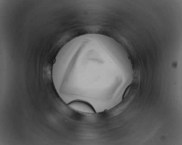 X0000100780238200807171450