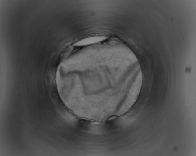 X0000100780240200807171450