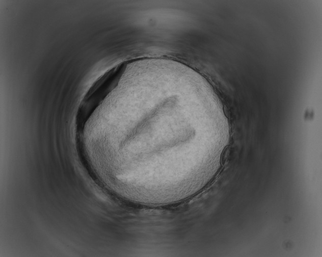 X0000100780242200807171449