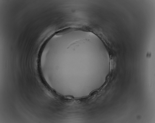 X0000100780243200807171449