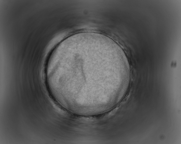 X0000100780245200807171449