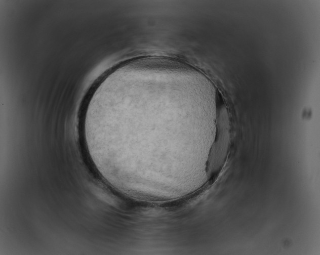 X0000100780246200807171449