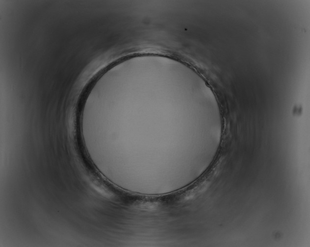 X0000100780247200807171449