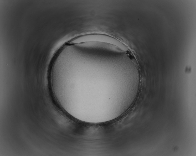 X0000100780248200807171449