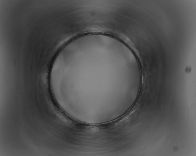 X0000100780249200807171449
