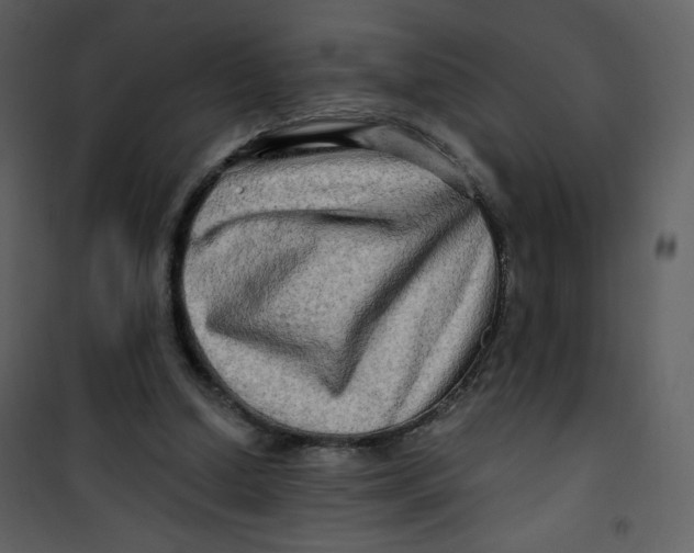 X0000100780250200807171449