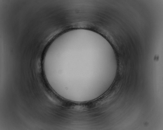 X0000100780251200807171449