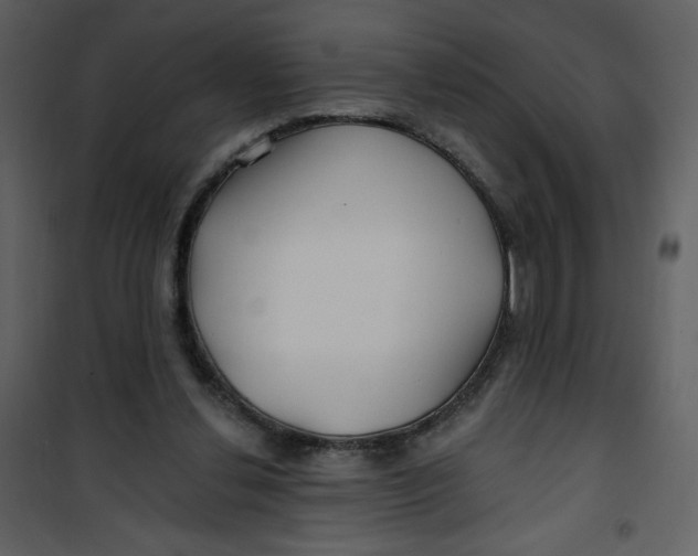 X0000100780252200807171450
