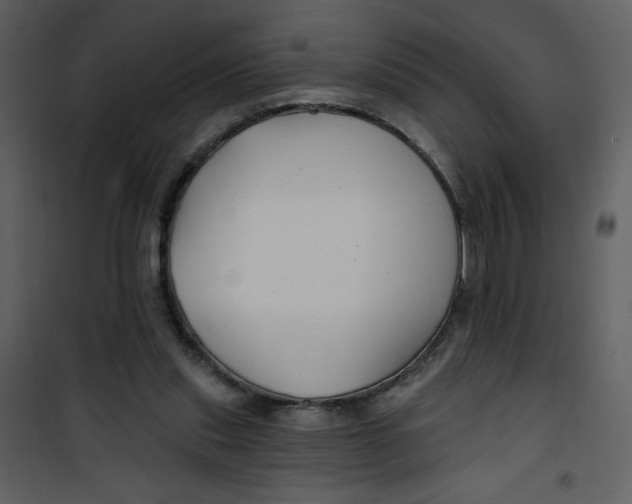 X0000100780253200807171450