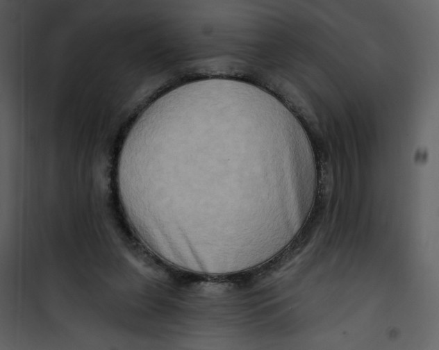 X0000100780255200807171450