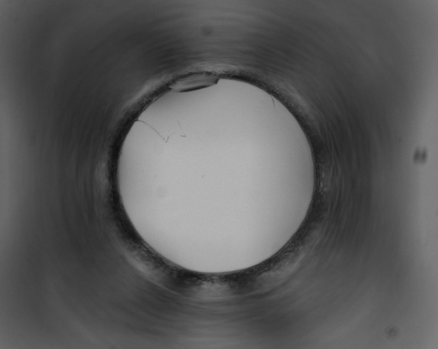 X0000100780256200807171450