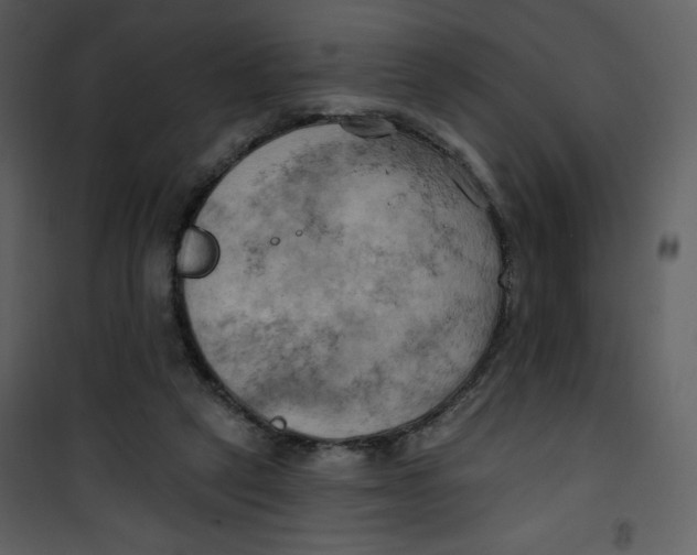 X0000100780257200807171450
