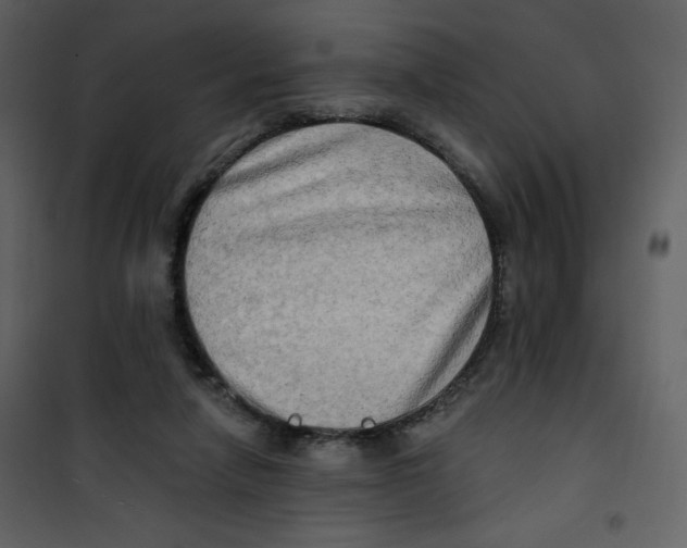 X0000100780258200807171450