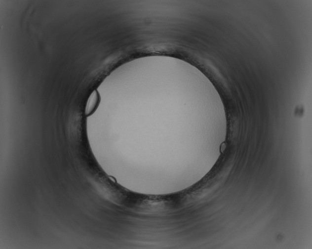 X0000100780260200807171450