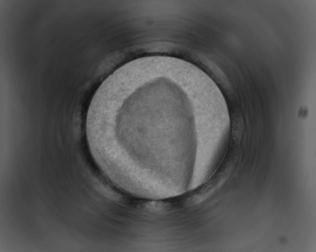 X0000100780261200807171450