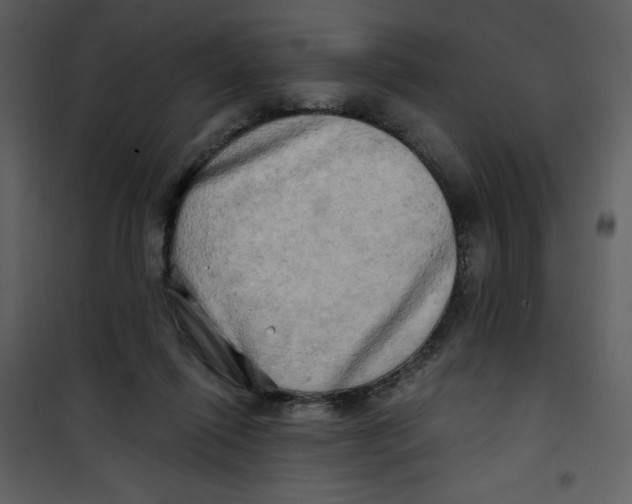 X0000100780262200807171450