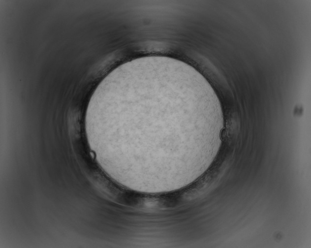 X0000100780264200807171450