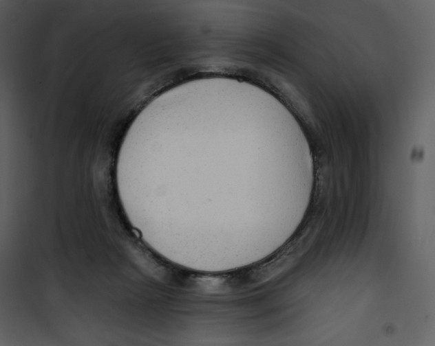 X0000100780265200807171450