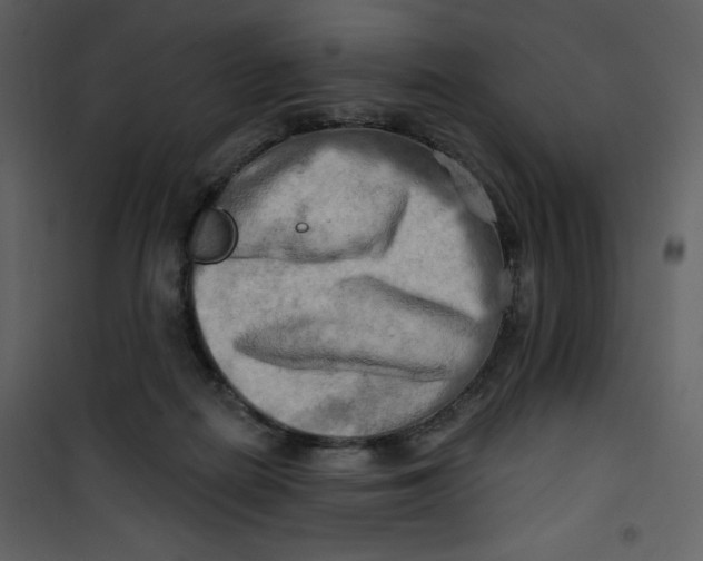 X0000100780266200807171450