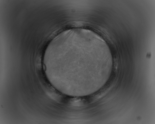 X0000100780267200807171450